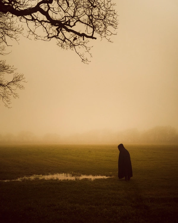 Photo d'une personne vêtue de noir sous une branche dans un champ sous la brume, en nature proche de Nantes et Machecoul.