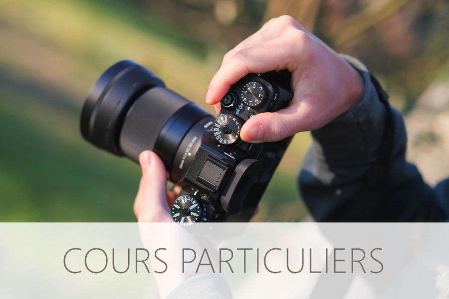 Apprendre à faire de belles photos avec un prof particulier près de Nantes, St-Pazanne et Villeneuve en Retz.