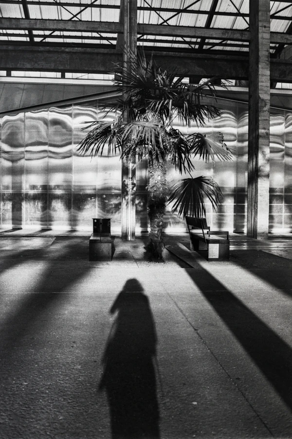 Photo argentique noir et blanc sur l'île de Nantes montrant une ombre et un arbre dans un bâtiment industriel, par le photographe Ken Lecoq.