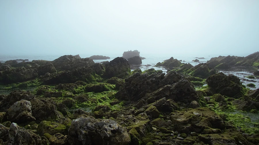 Photo de la mer et des rochers par temps de brume sur la galerie personnelle de Ken Lecoq, photographe vers Nantes et Pornic.