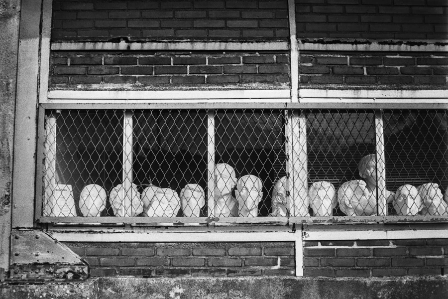 Photo artistique en noir et blanc par un photographe à Nantes, montrant des têtes de statues blanches derrière un grillage.