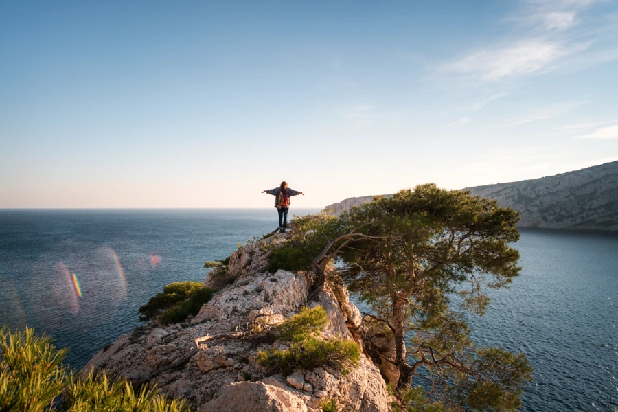 Paysage devant la mer avec un arbre et des rochers ainsi qu'une personne levant les bras, par un photographe professionnel nantais.