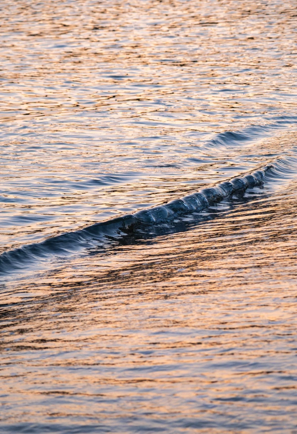 Photographie artistique de l'océan, sur la côte de la Loire Atlantique, une vague qui se forme sur l'eau, par un photographe écoresponsable.